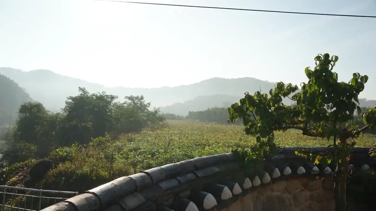 한옥에서 바라보는 초록빛 풍경과 산 능선
