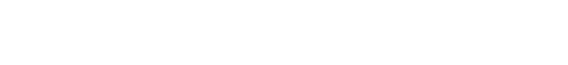 VOID ANCHAE